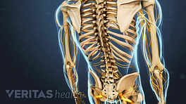 Chiropractic Care of the Upper Back