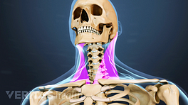 Animated video still highlighting neck muscles