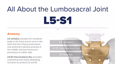 Infographic of Anatomy of L5-S1