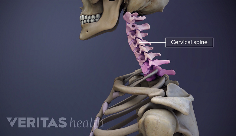 Illustration showing lateral view of head and neck with cervical spine highlighted.