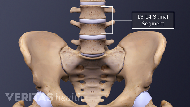 3D rendering of the hip bone and lumbar spine.