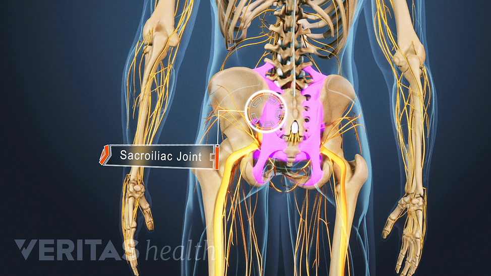Animatedvideo still highlighting the sacroiliac joints