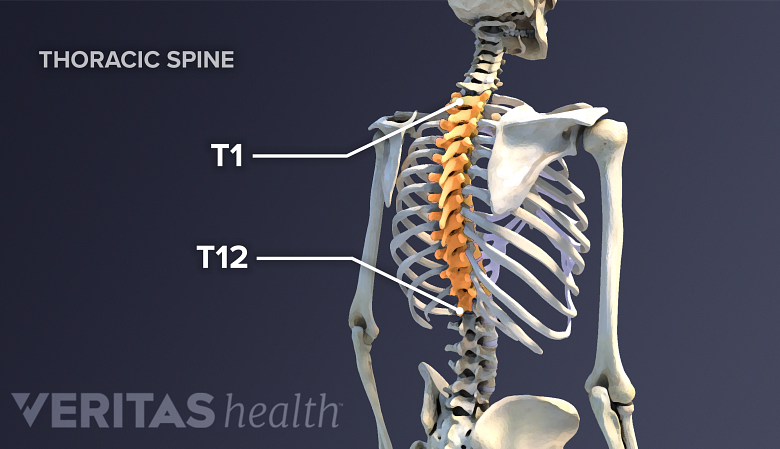 Stop Doing These Things If You Want Less Neck Pain: The Spine and Sports  Center: Spine & Sports Medicine