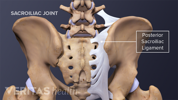 Posterior view of the pelvis highlighting the Iliolumbar ligament, posterior sacroiliac ligaments, sacrotuberous ligament, and sacroiliac joint.