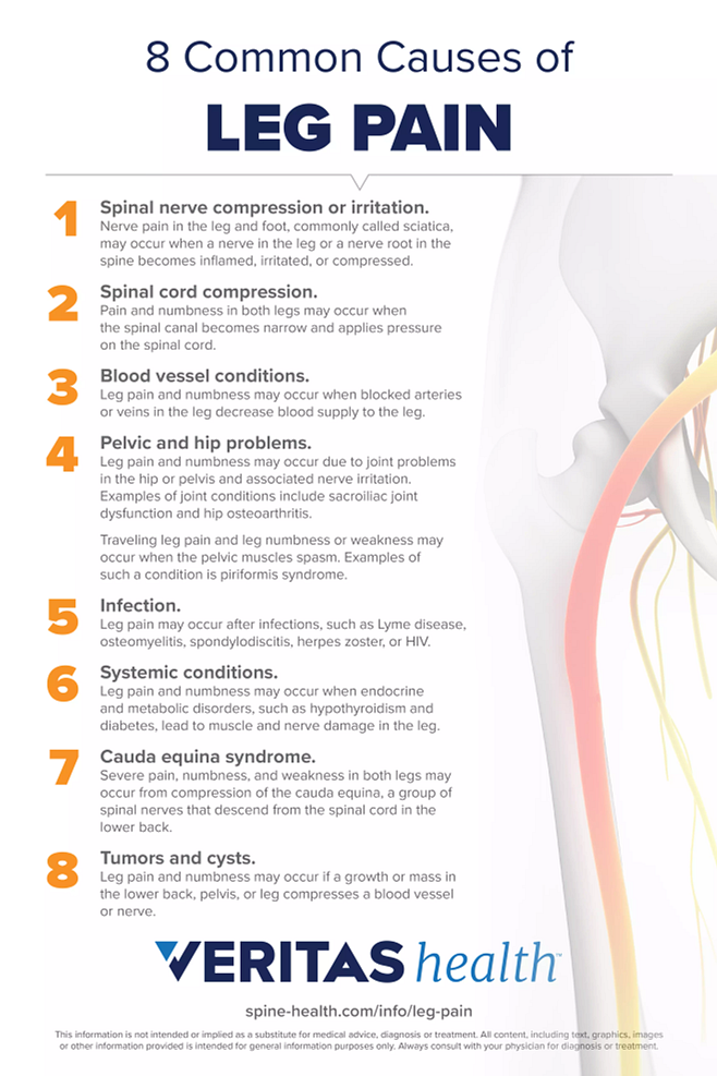 Infographic of 8 Causes of Leg Pain