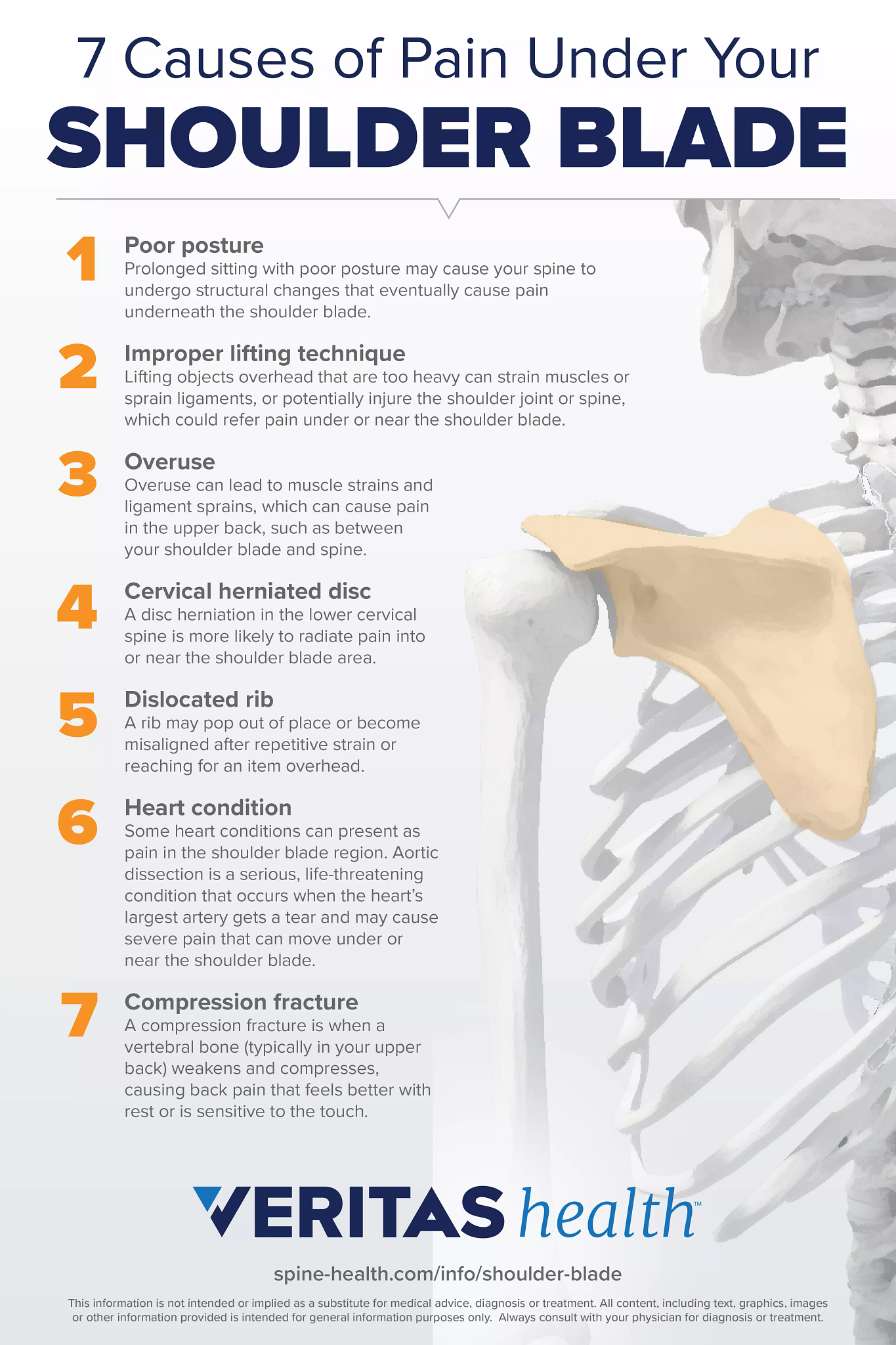 7 Possible Causes Of Pain Under Your Shoulder Blade Infographic ...