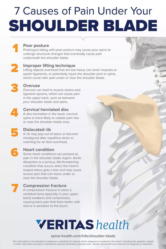 7 Possible Causes of Pain Under Your Shoulder Blade Infographic