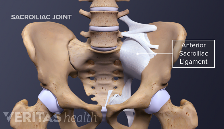 Anterior view of the pelvis highlighting the Iliolumbar ligament, anterior sacroiliac ligament, sacrotuberous ligament, and sacroiliac joint.