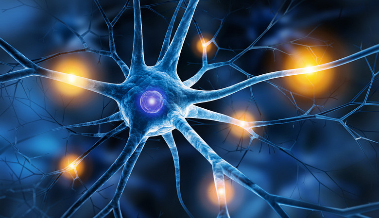 Nerve synapses lighting up
