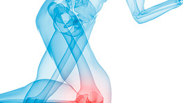 下半身的骨骼视图显示膝关节疼痛。