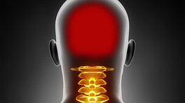 Silhouette of person, the cervical spine is highlighted and the head is highlighted in red, indicating pain.