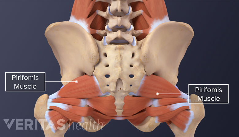 Piriformis Muscle Pain  Tailbone and Buttock Pain from Piriformis Mus