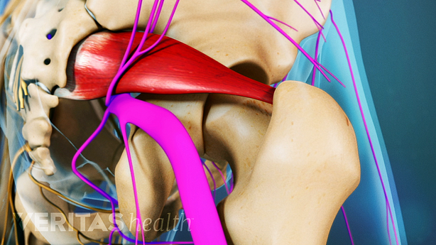 Piriformis muscle in the hip joint.