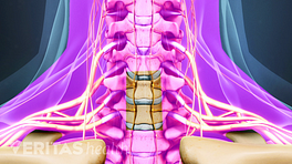 医学插图宫颈脊柱