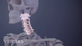 Cervical Vertebrae Anatomy Animation | Spine-health