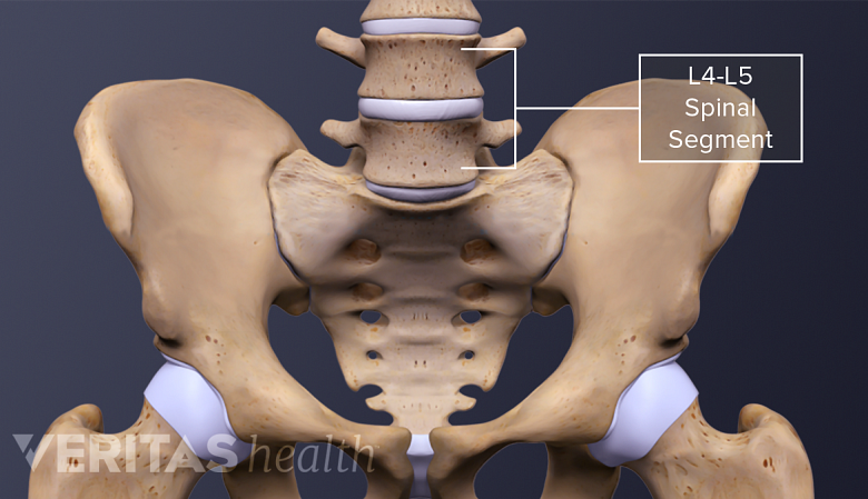 3D rendering of the hip bone and lumbar spine.