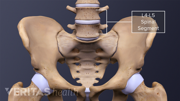 Representación 3D del hueso de la cadera y la columna lumbar.