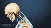 Medical illustration of a lateral view of the upper body with the head leaning forward