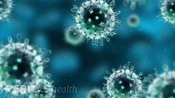 An image showing microscopic view of bacteria.