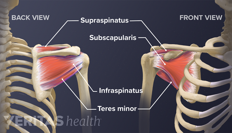 6 Effective Treatments for Rotator Cuff Injury