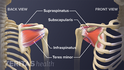 5 Stretches and Exercises for Rotator Cuff Tears | Sports-health