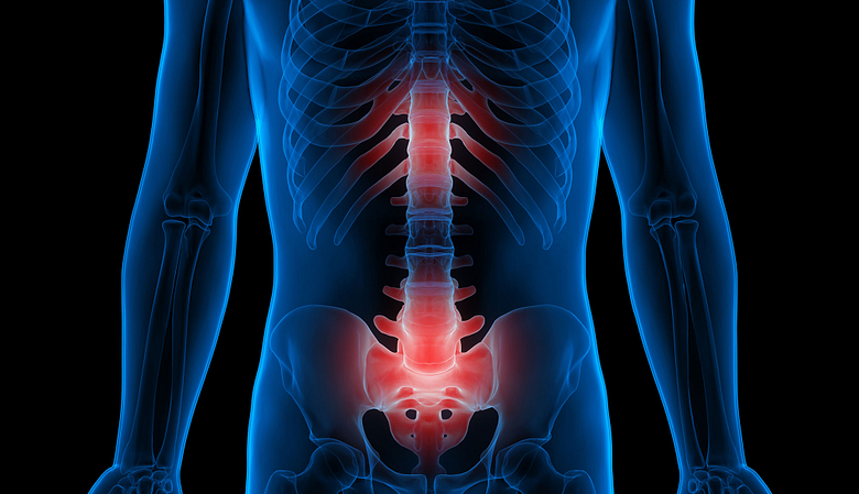 An illustration of a adult spine with red highlights.