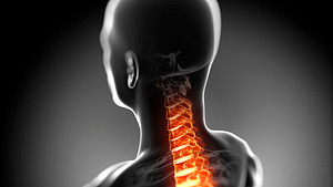 X-ray like image highlighting the spinal cord