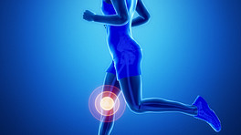 身体的骨骼视图与膝盖疼痛。