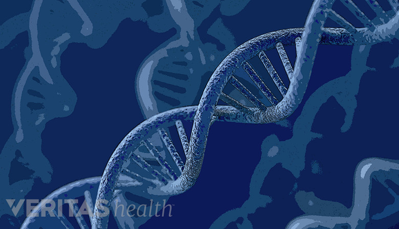 An illustration showing DNA strand.