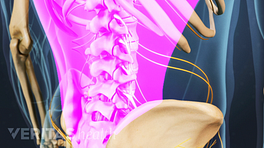 Tailbone Pain Relief without Medicine - Spinal Backrack
