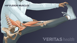 Person stretching their outstretched leg with hip flexor muscles superimposed