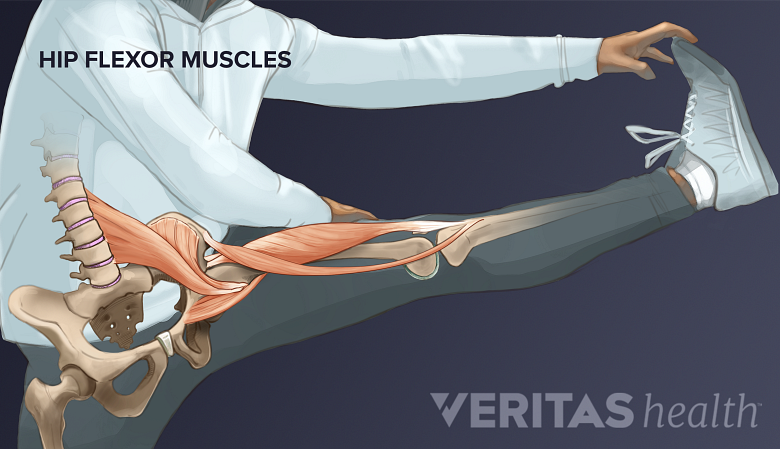Person stretching their outstretched leg with hip flexor muscles superimposed