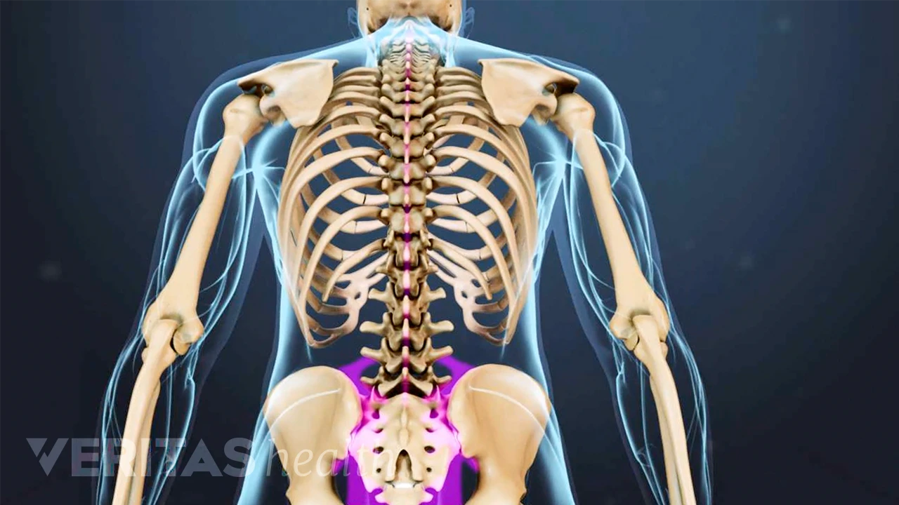 Anatomía posterior de la columna vertebral: MedlinePlus enciclopedia médica  illustración