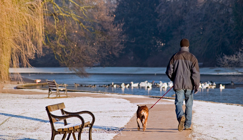 Man walking outdoors in the winter with his dog.