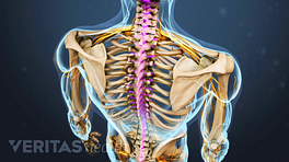 Why pain in the neck and shoulders radiates down the arm