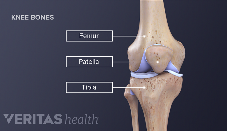 The three knee bones: patella, femur and tibia.