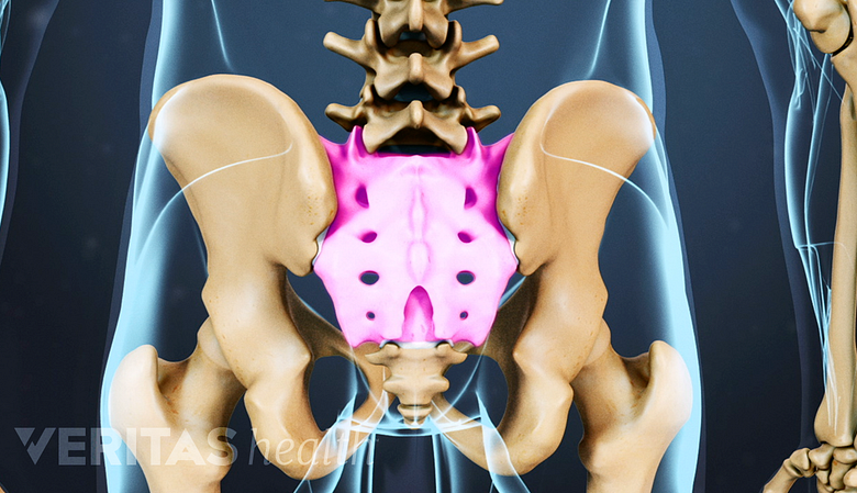 Anatomy Of Lower Back (Lumbar Spine) Pain - Spinomax