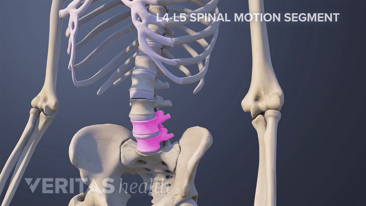 Spinal Motion Segment: L5-S1 Animation | Spine-health