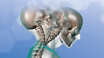 Transparent skeleton flexing its neck forward and backward