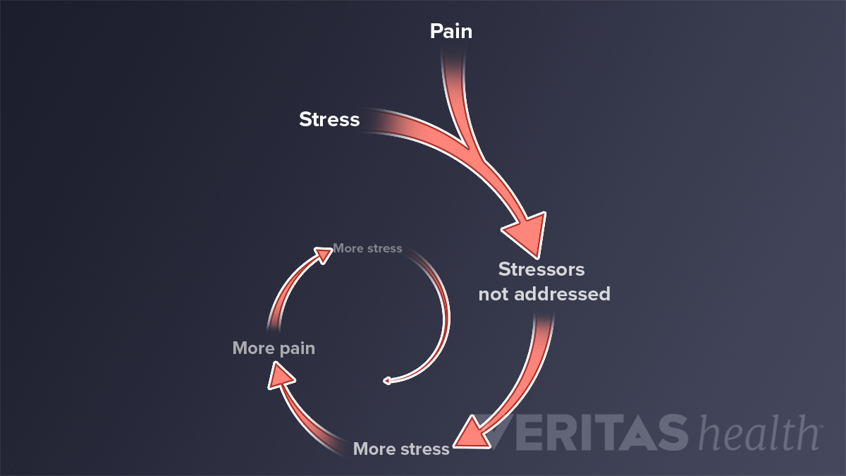 How to reduce stress hormones 5 ways to lower cortisol levels  HCA  Houston Healthcare