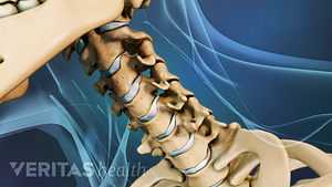 Anterior view of the neck focused on the cervical spine.