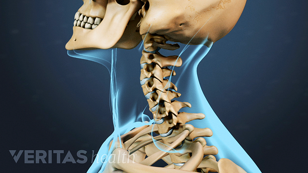 Profile view of head and neck showing cervical spine range of motion.