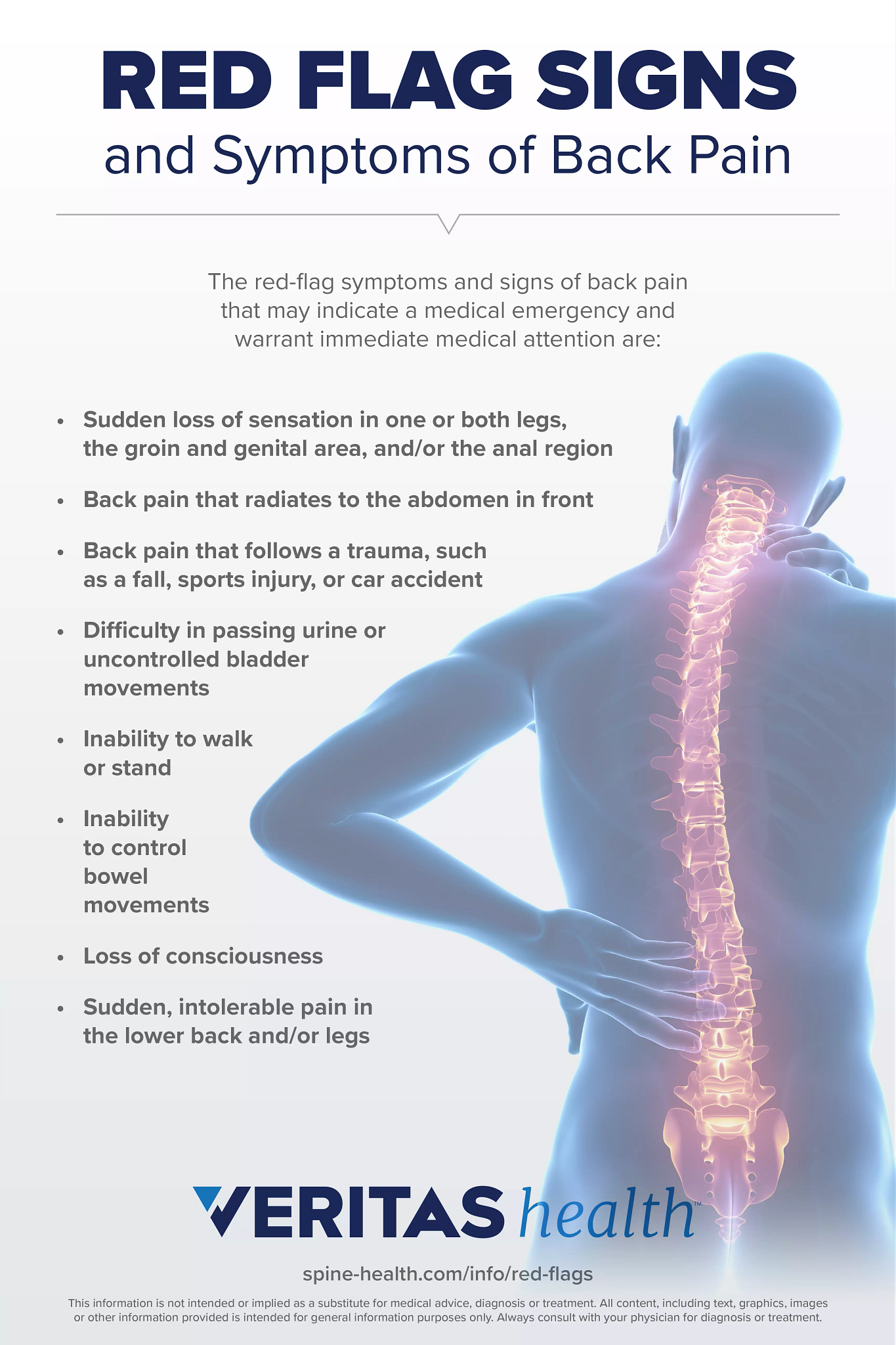 Red Flag Signs And Symptoms Of Back Pain Infographic | Spine-health