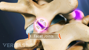 Facet joints highlighted in the cervical spine
