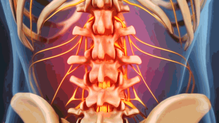 Gif of the lower back, the region is highlighted in red indicating back strain.