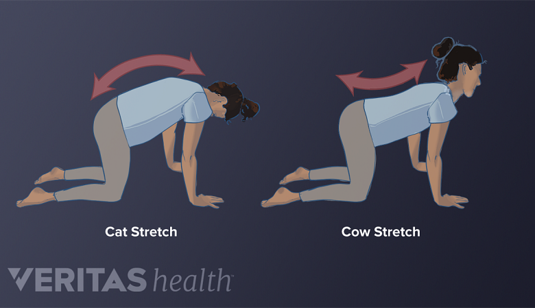 Should You Be Doing The Cat Cow For Back Pain Relief?