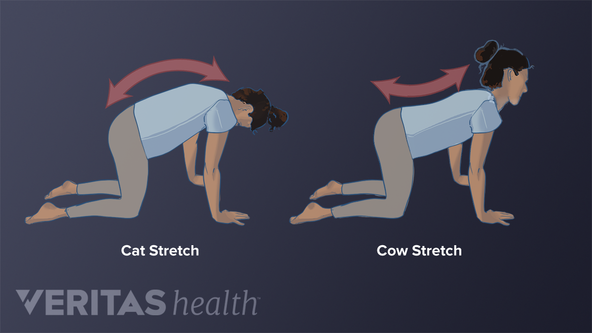 Yoga For Low Back and Hip Health: Yoga for back pain relief - gentle yoga  and restorative yoga for lower back pain relief, upper back pain relief,  hip pain relief and sciatica