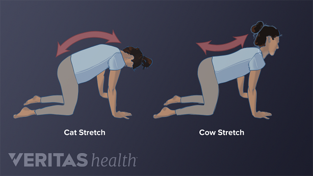 Cat and cow yoga pose for lower back pain