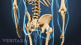 Hip Bursitis vs Arthritis: How to Tell the Difference - Heiden Orthopedics